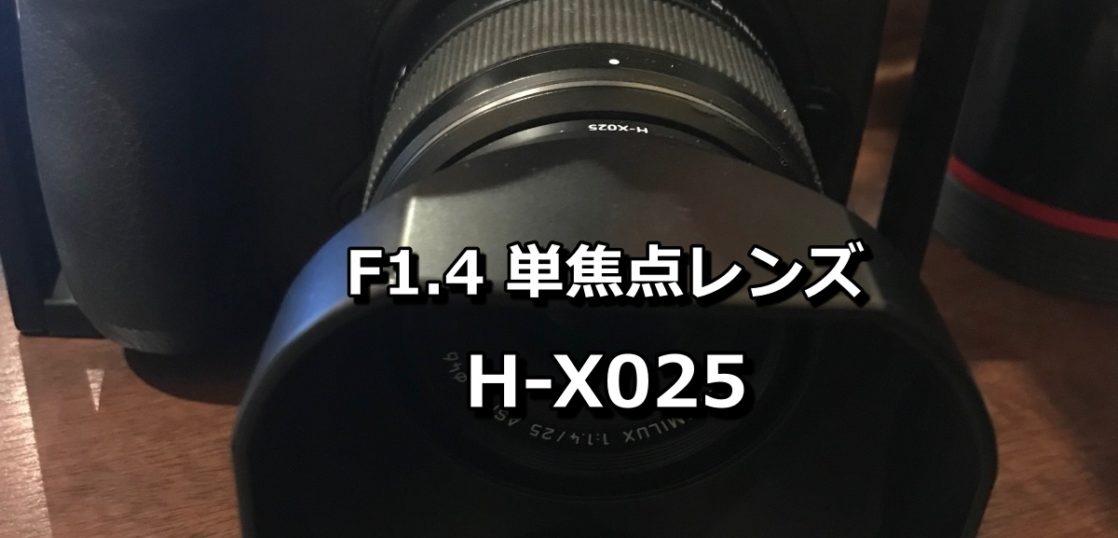 Panasonic マイクロフォーサーズ H X025 H Xa025 はお値打ち単焦点レンズ とりあえずこれだけ買っておけば間違いない R I Media アールアイメディア
